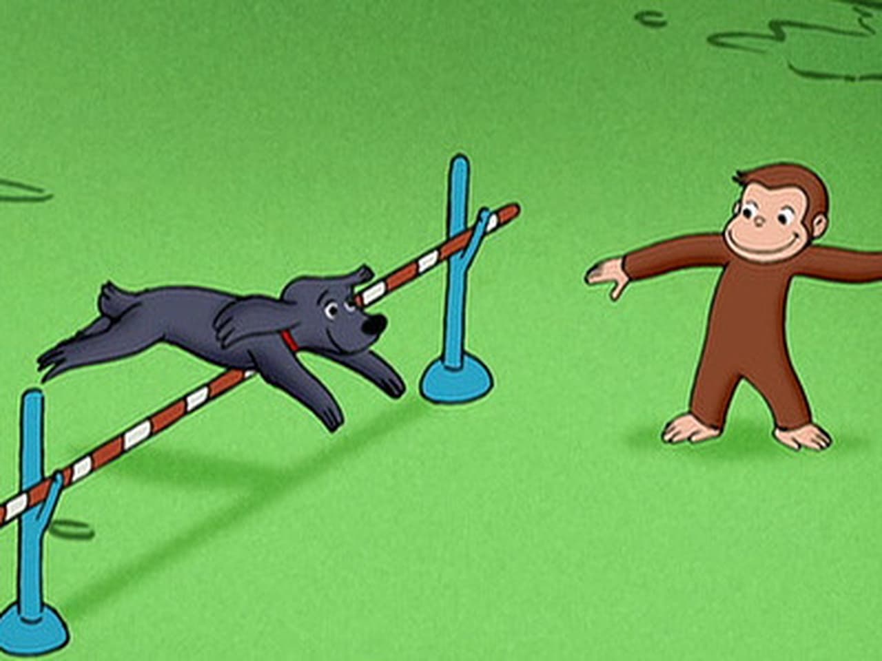 Curious George - Season 4 Episode 14 : The Box and the Hound