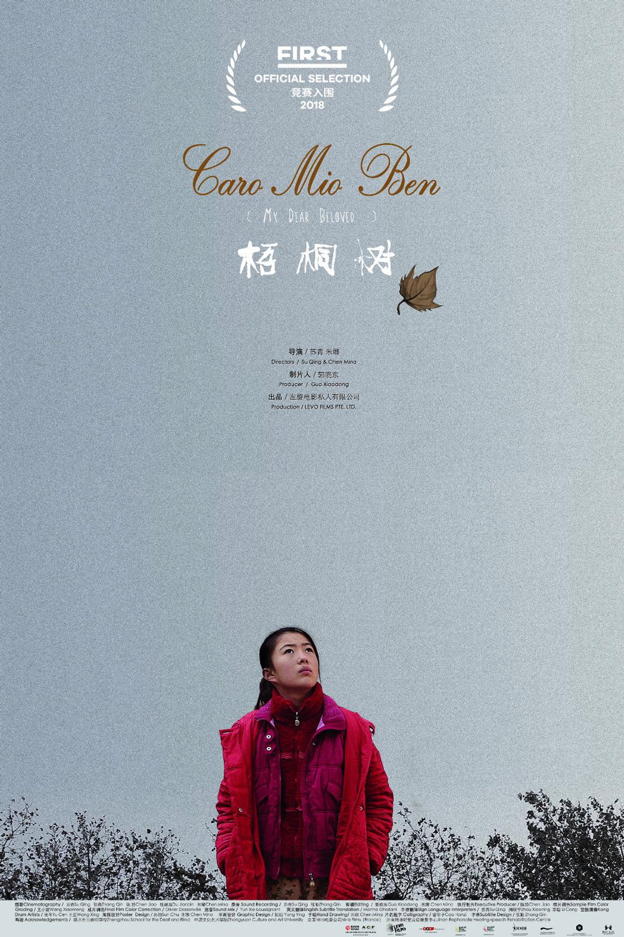 梧桐树 filmaffisch