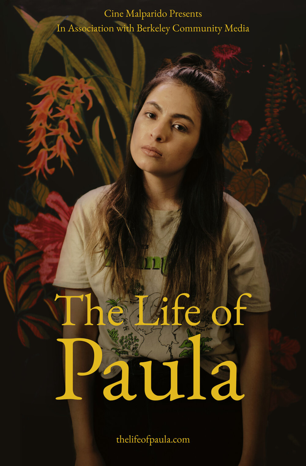 The Life of Paula Backdrop