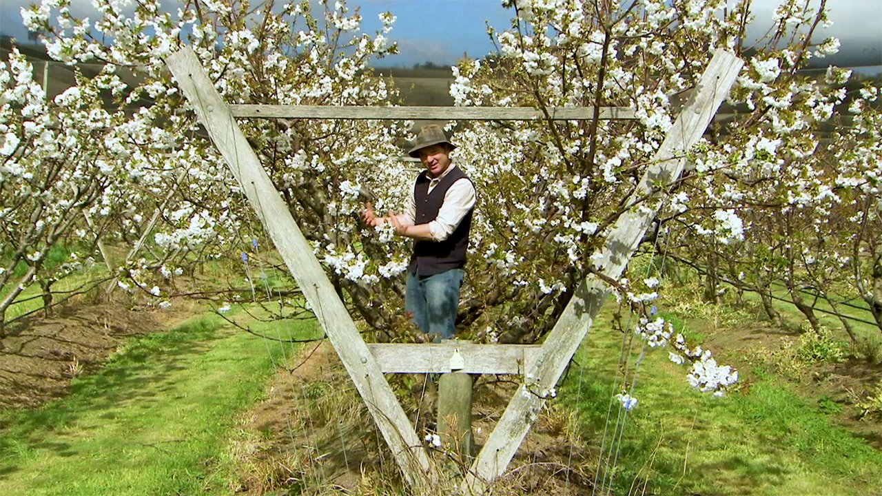 Gardening Australia - Season 29 Episode 39 : Episode 39