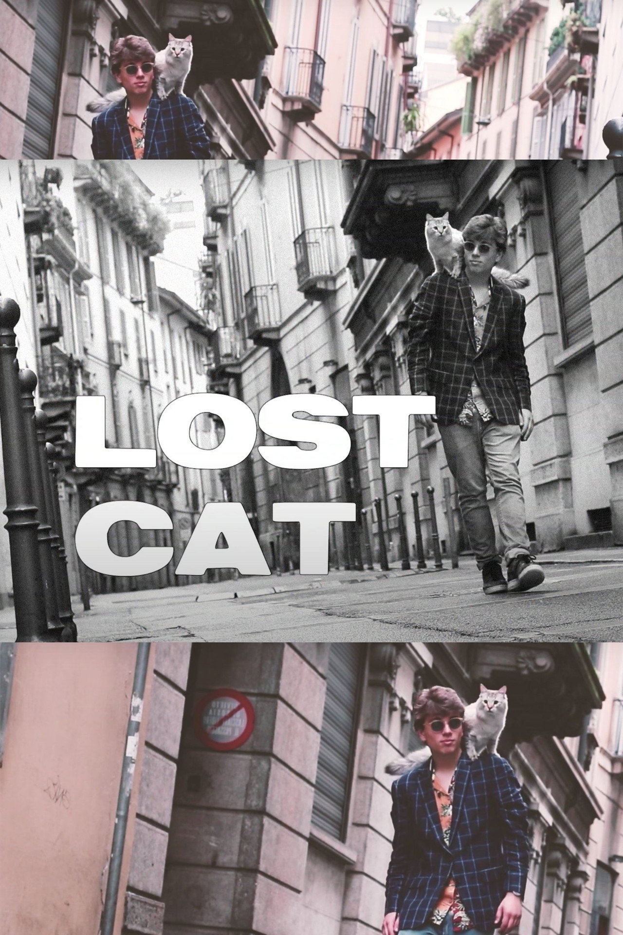Lost Cat filmaffisch