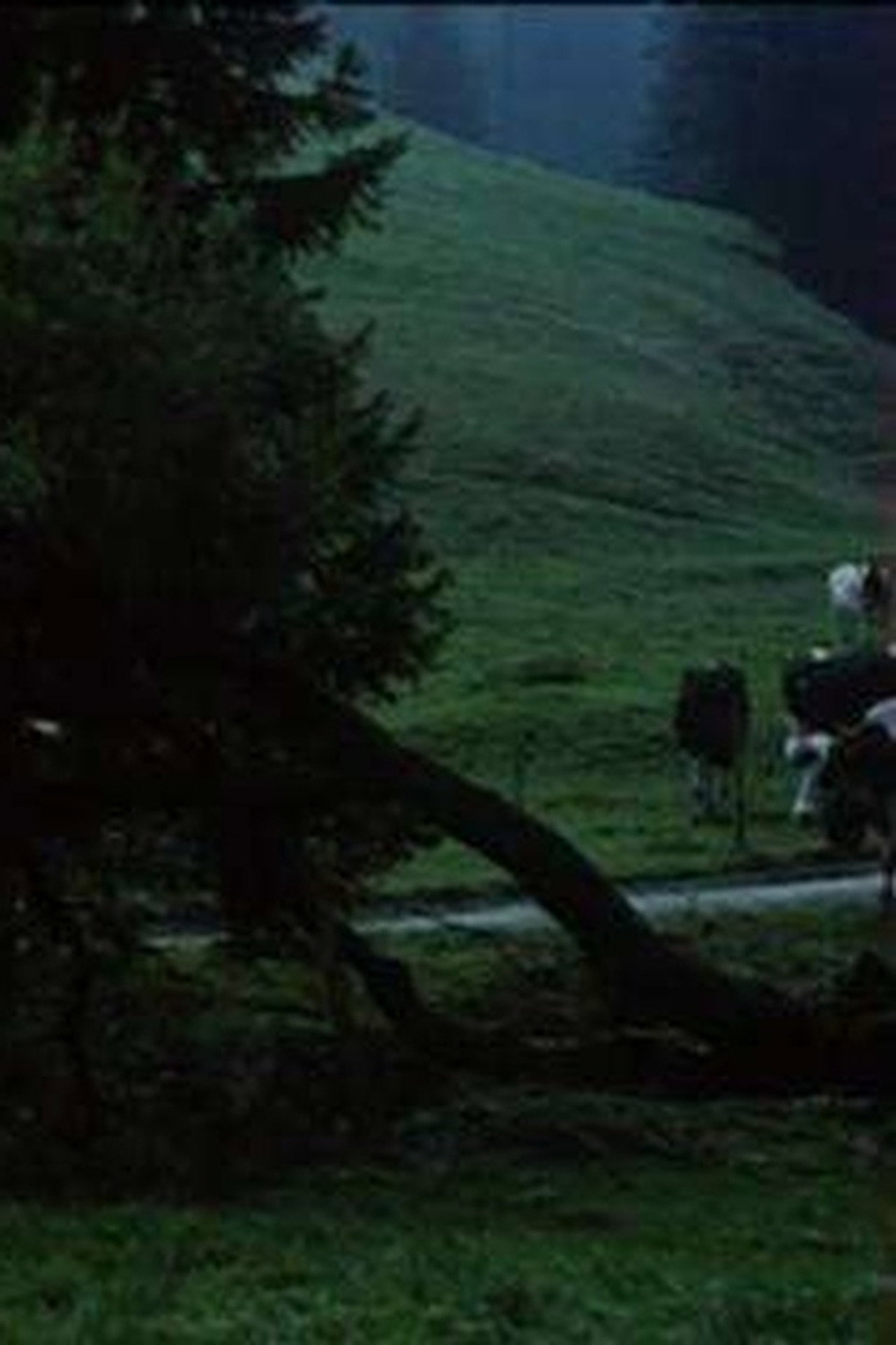 A Peasant Chronicle in Gruyère filmaffisch