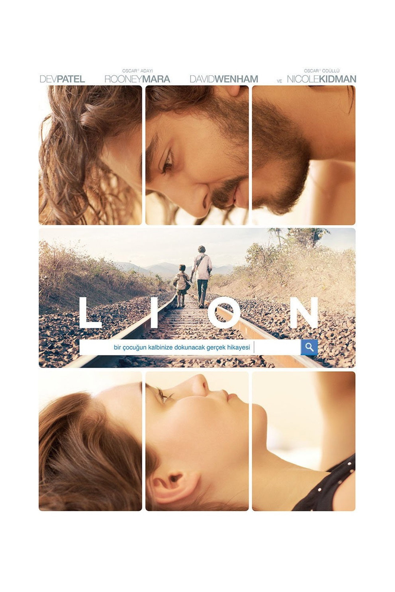 Lion Poster