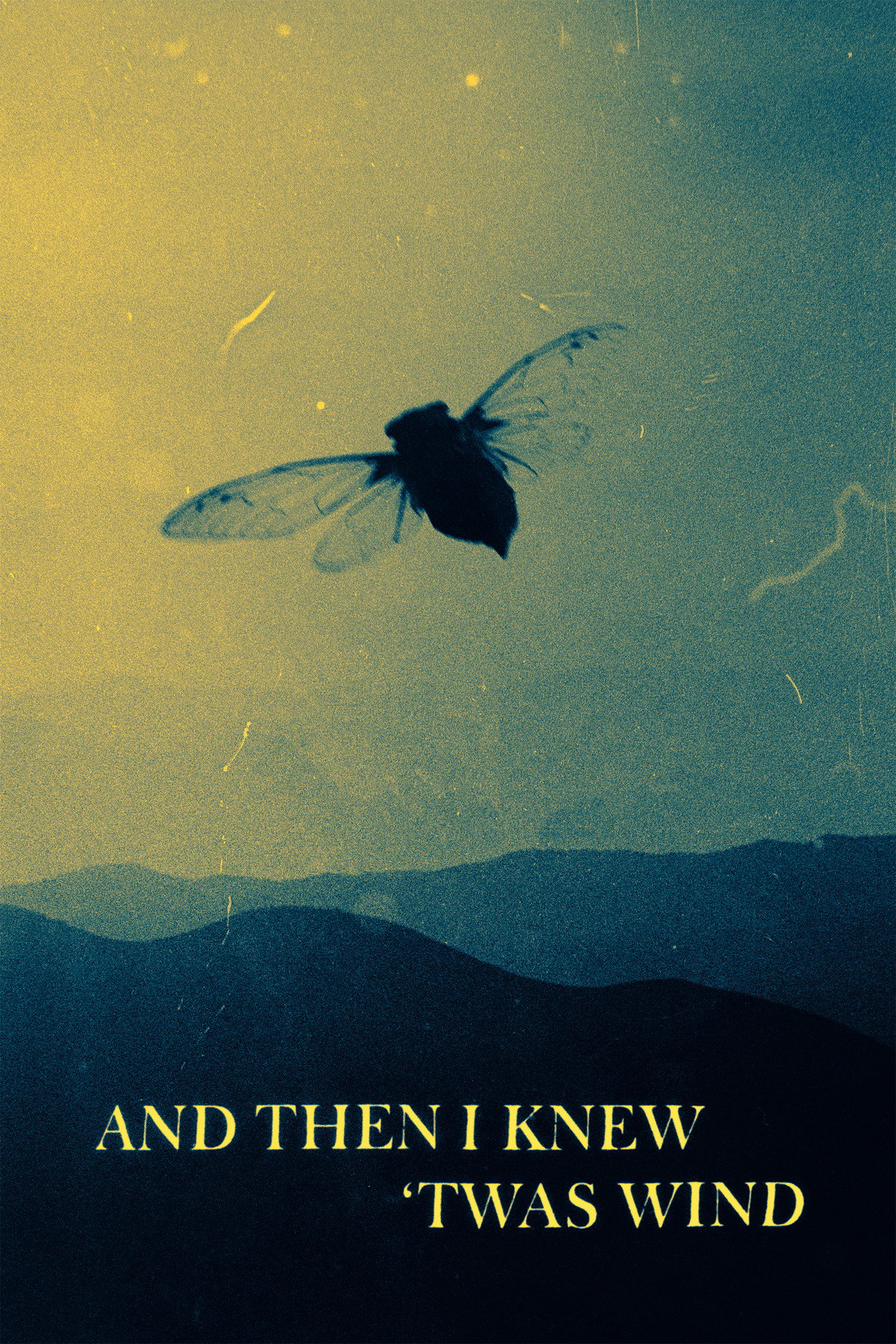 And Then I Knew 'Twas Wind poster