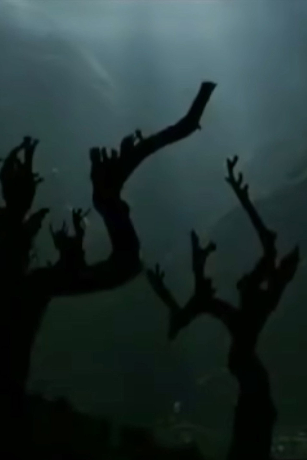 怒族一家人 filmaffisch