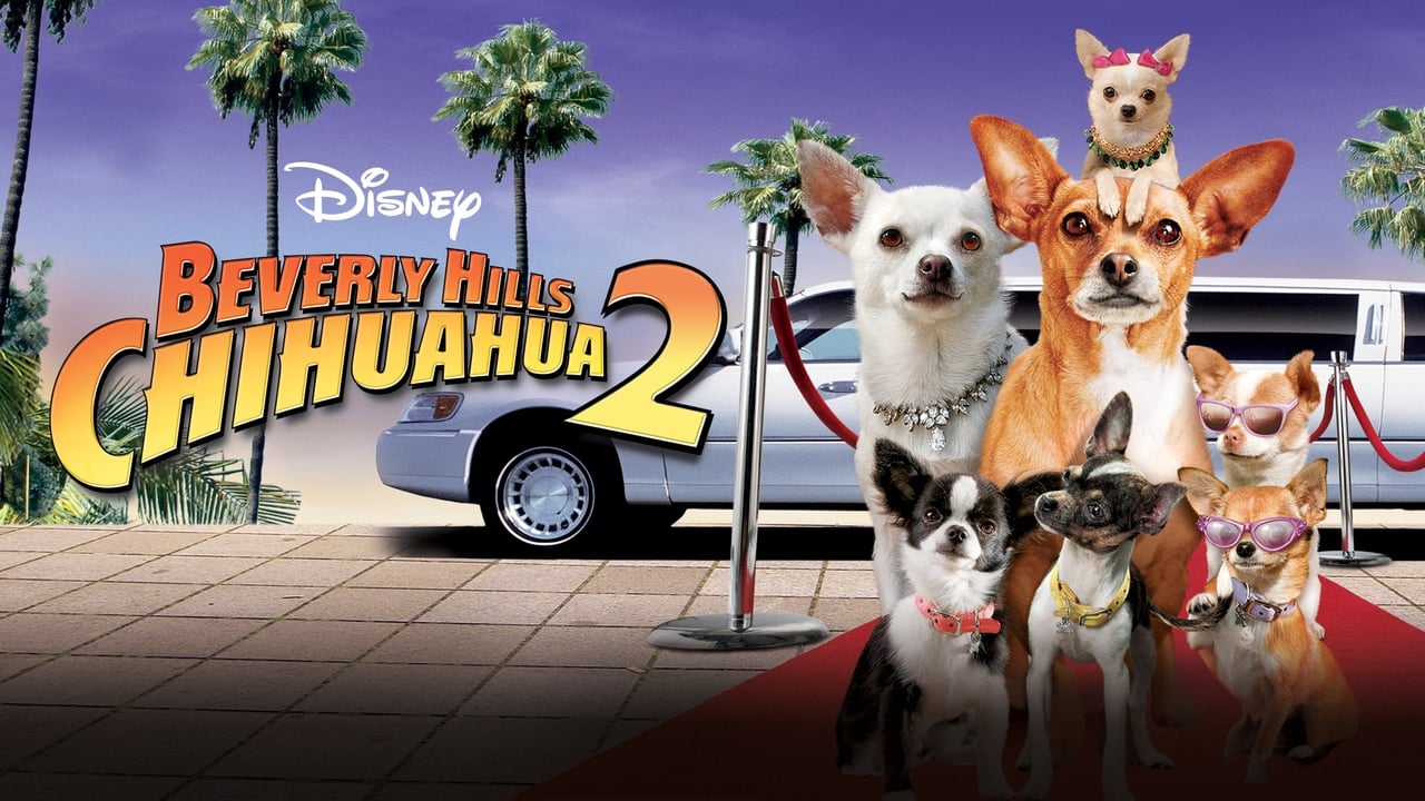 Beverly Hills Chihuahua 2 background