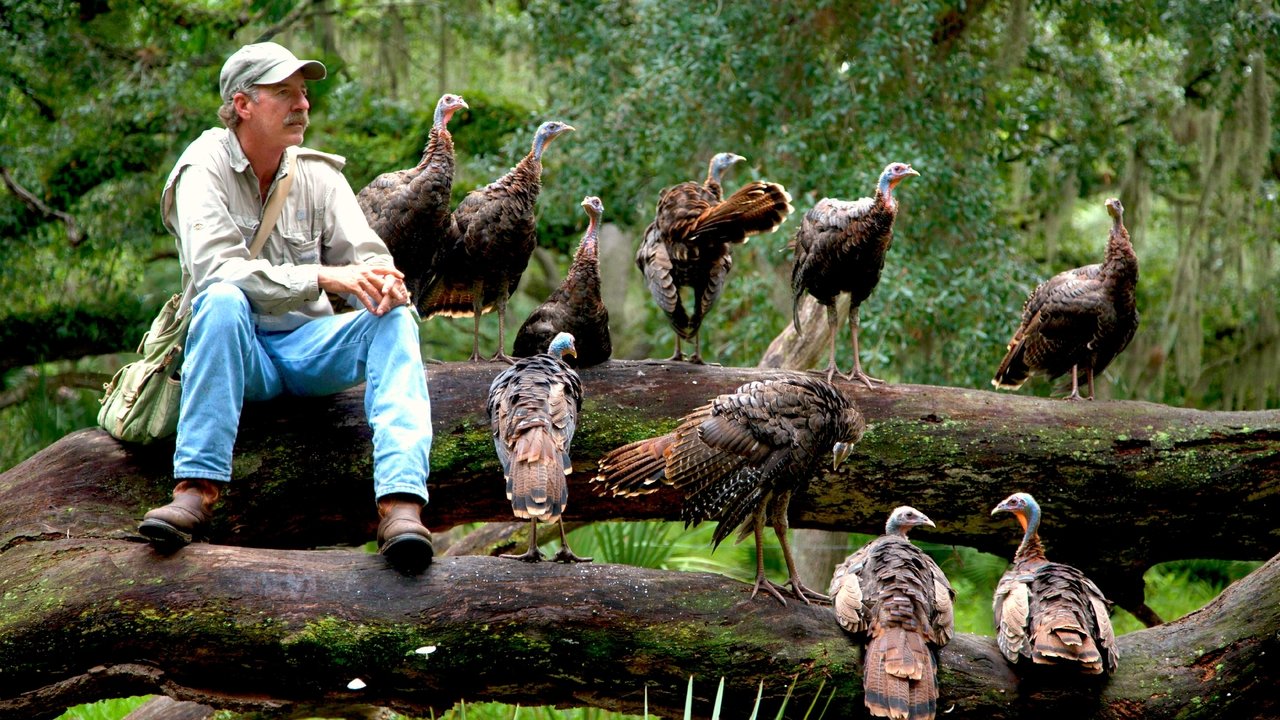 My Life as a Turkey