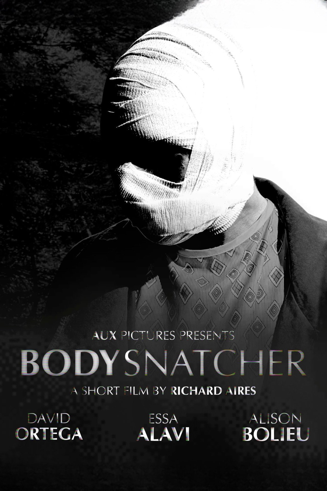 Bodysnatcher poster