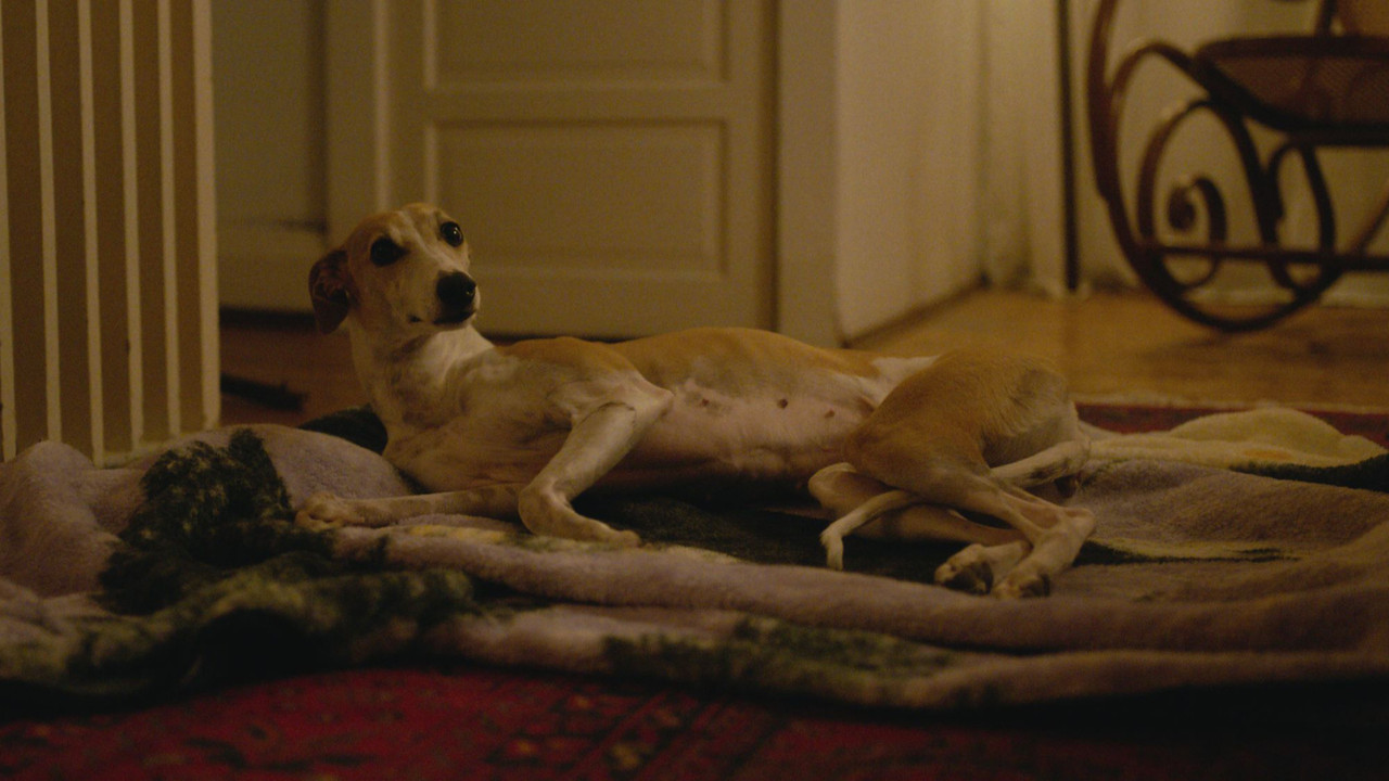 The Heirloom — still 5