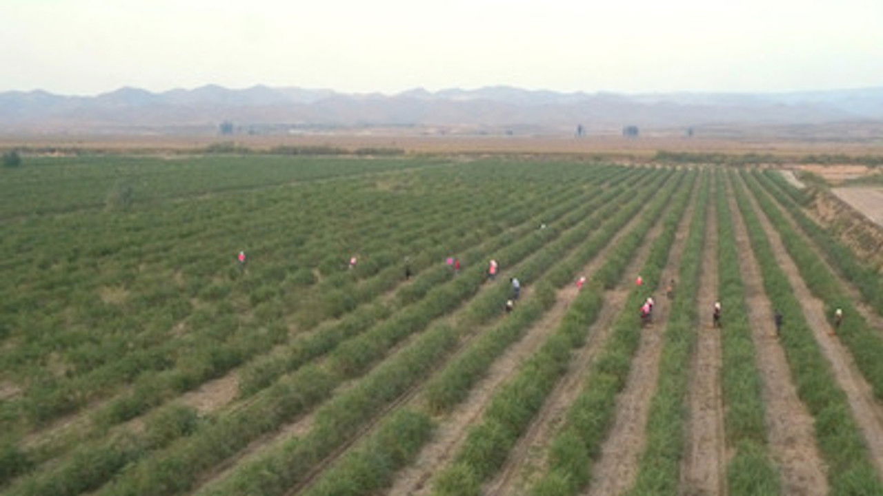 Asia Insight — Épisode 3