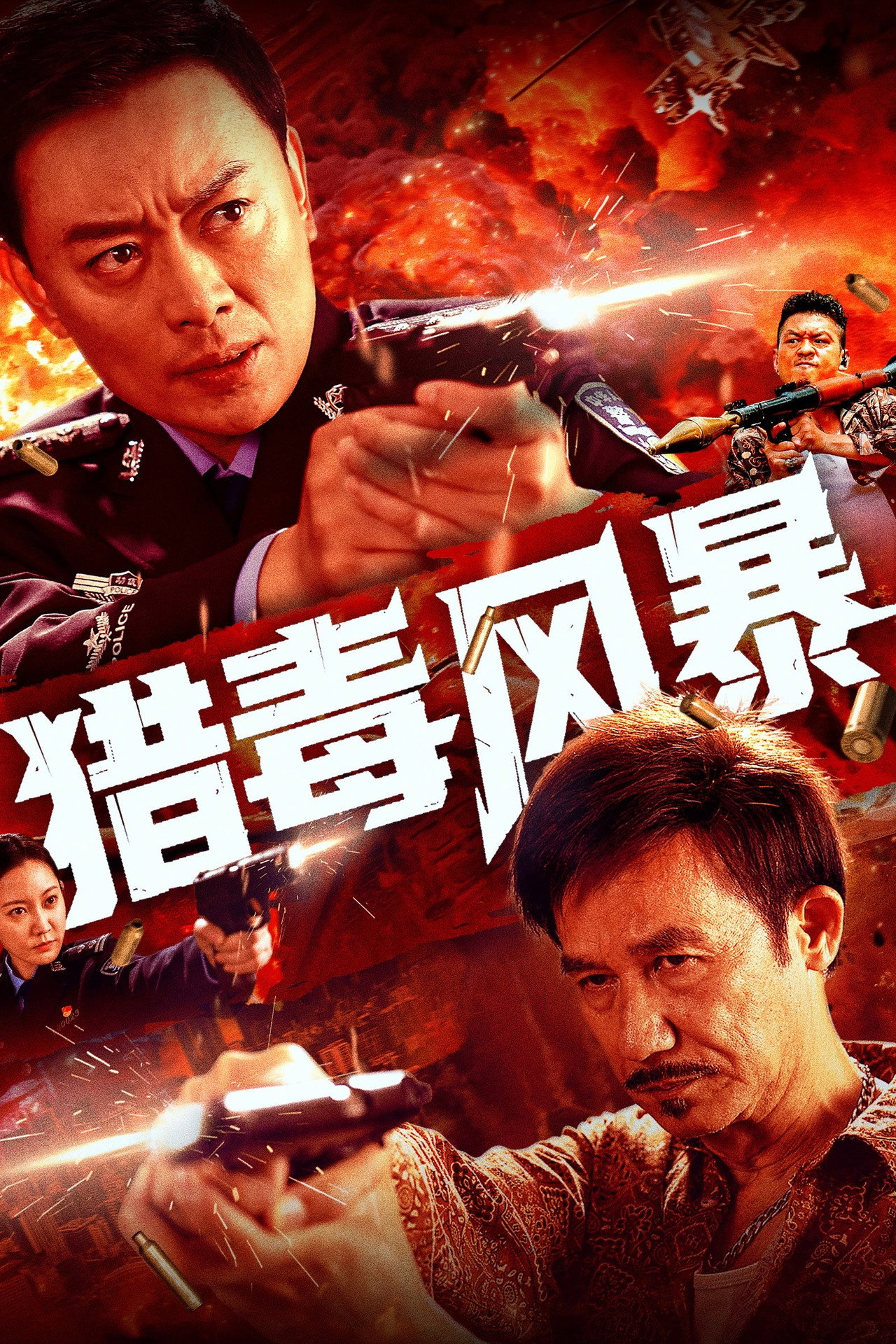 猎毒风暴 filmaffisch