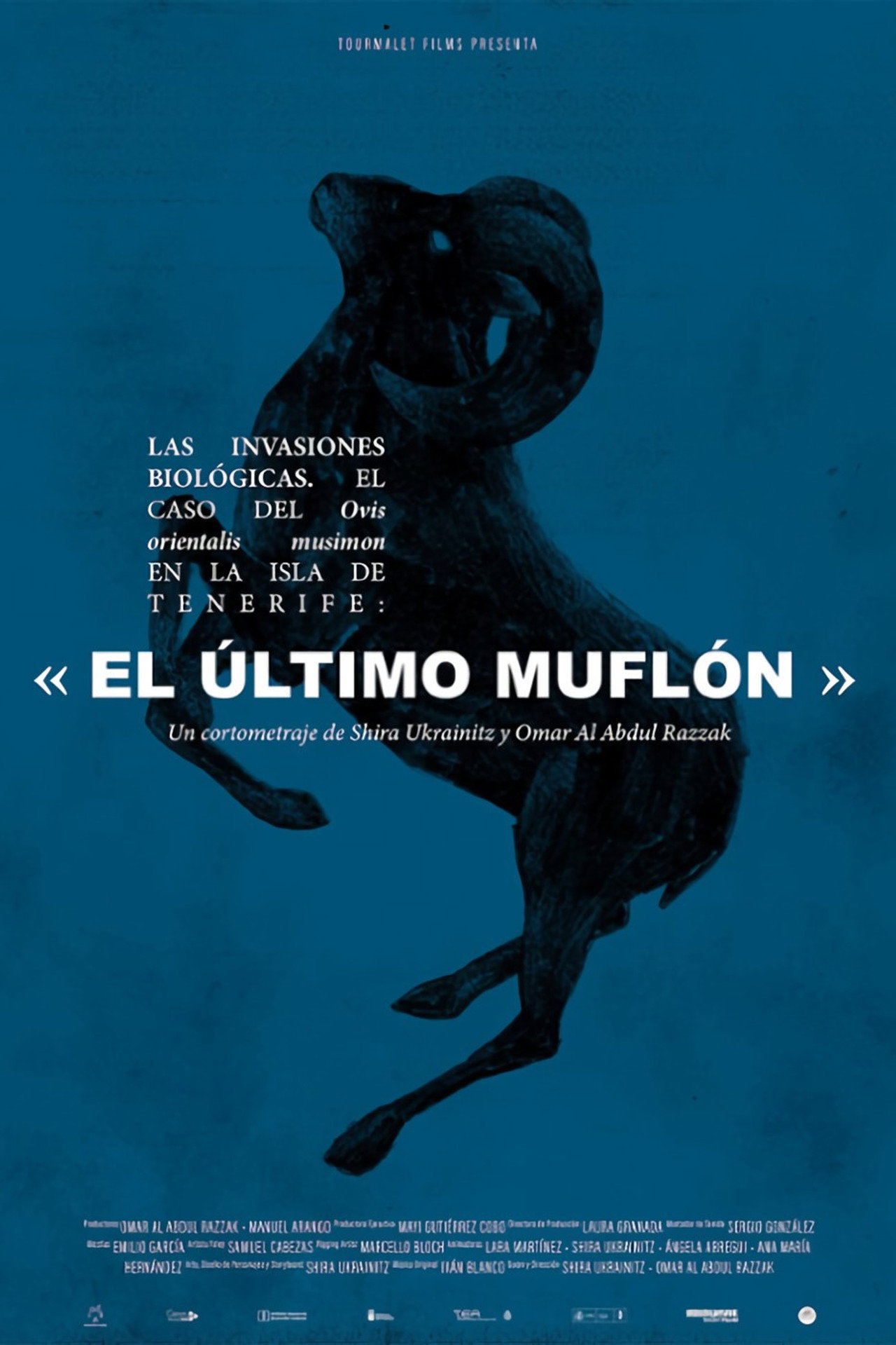 Las invasiones biológicas. El caso del Ovis orientalis musimon en la isla de Tenerife: «El último muflón» filmaffisch