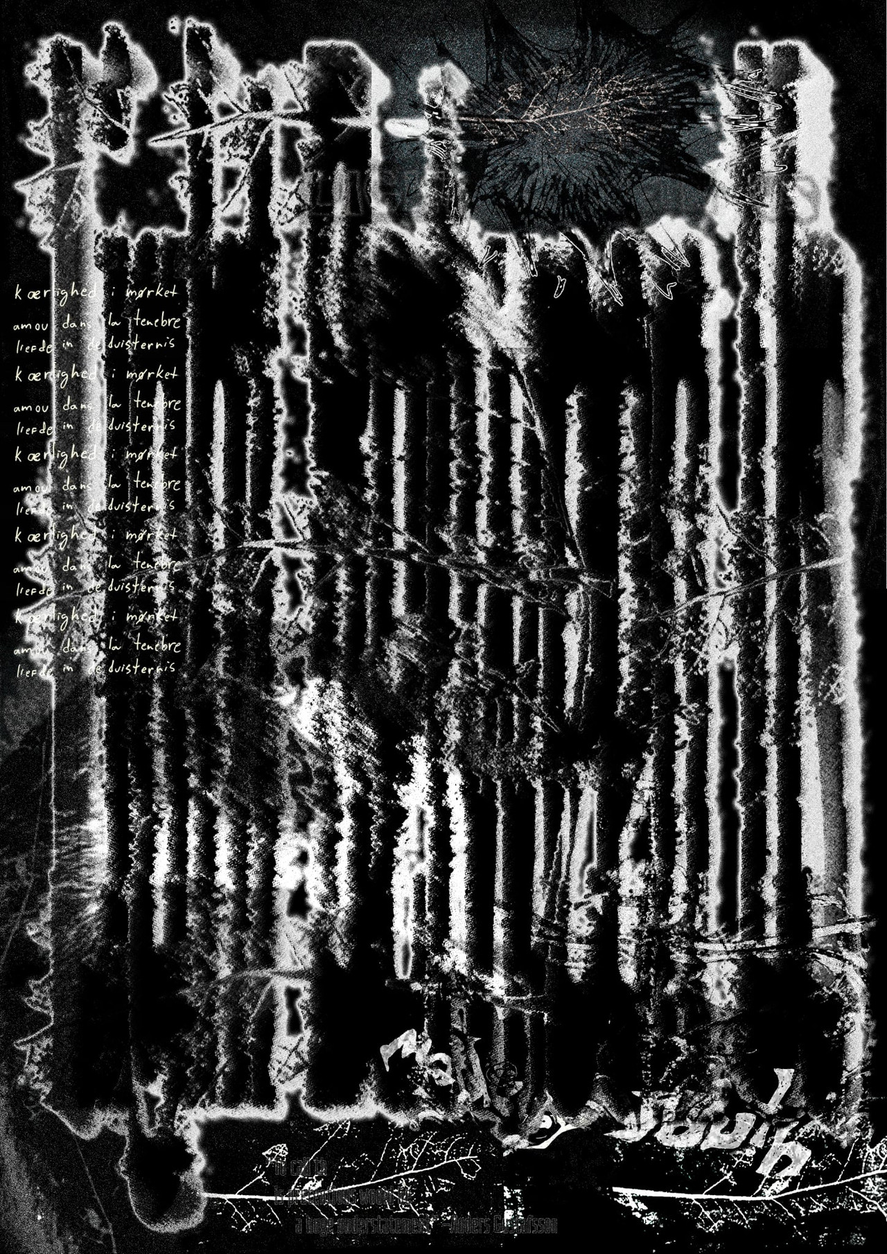 Light Between Us Backdrop