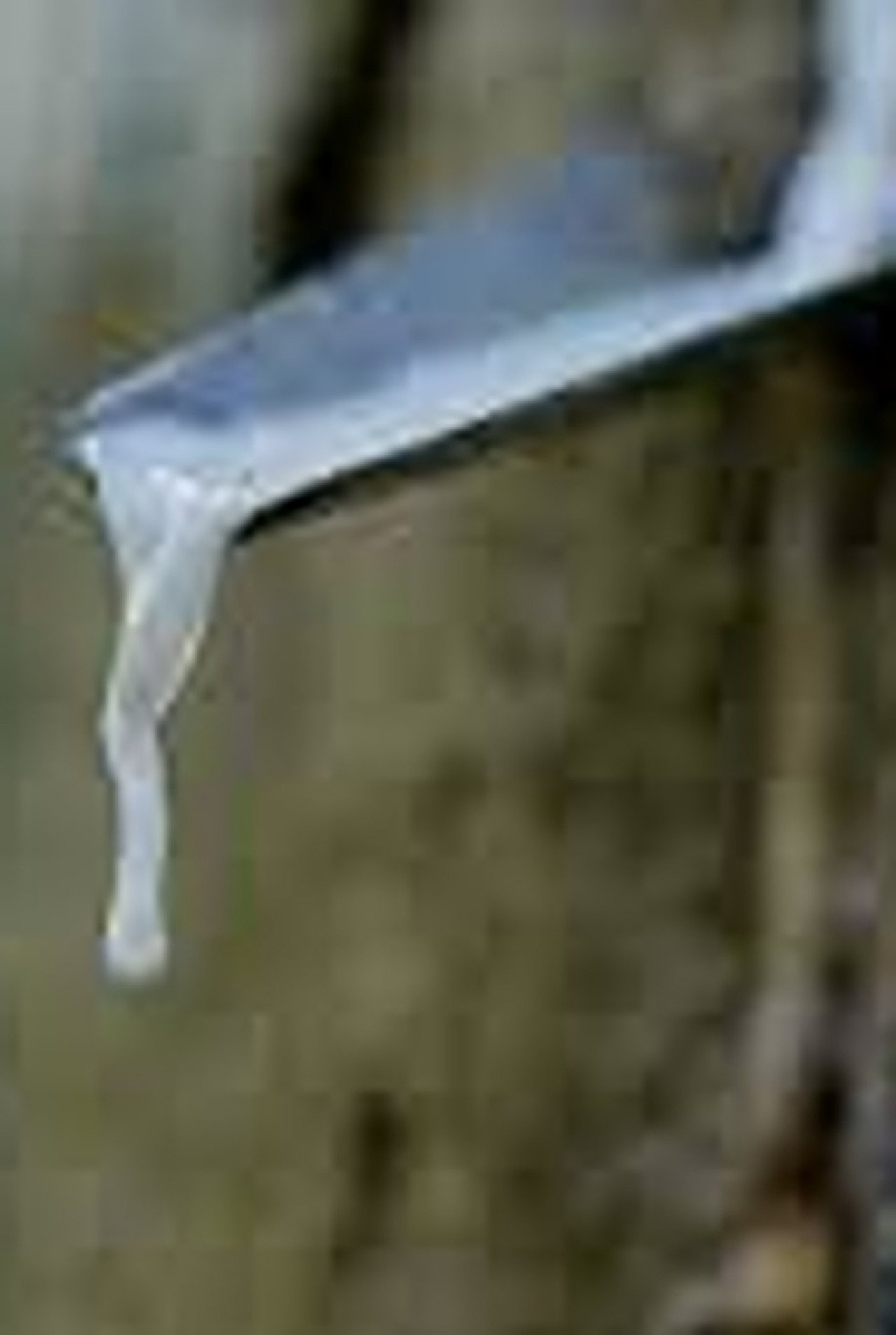 Excerpts from a Plantocracy