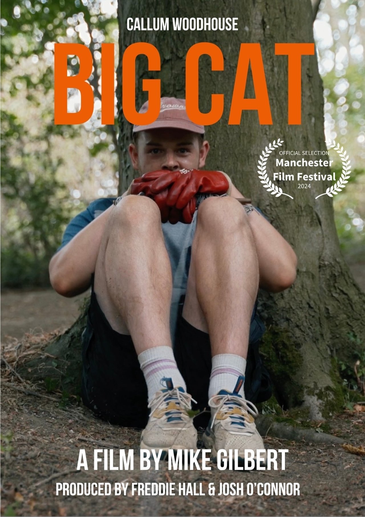 Big Cat Big Cat