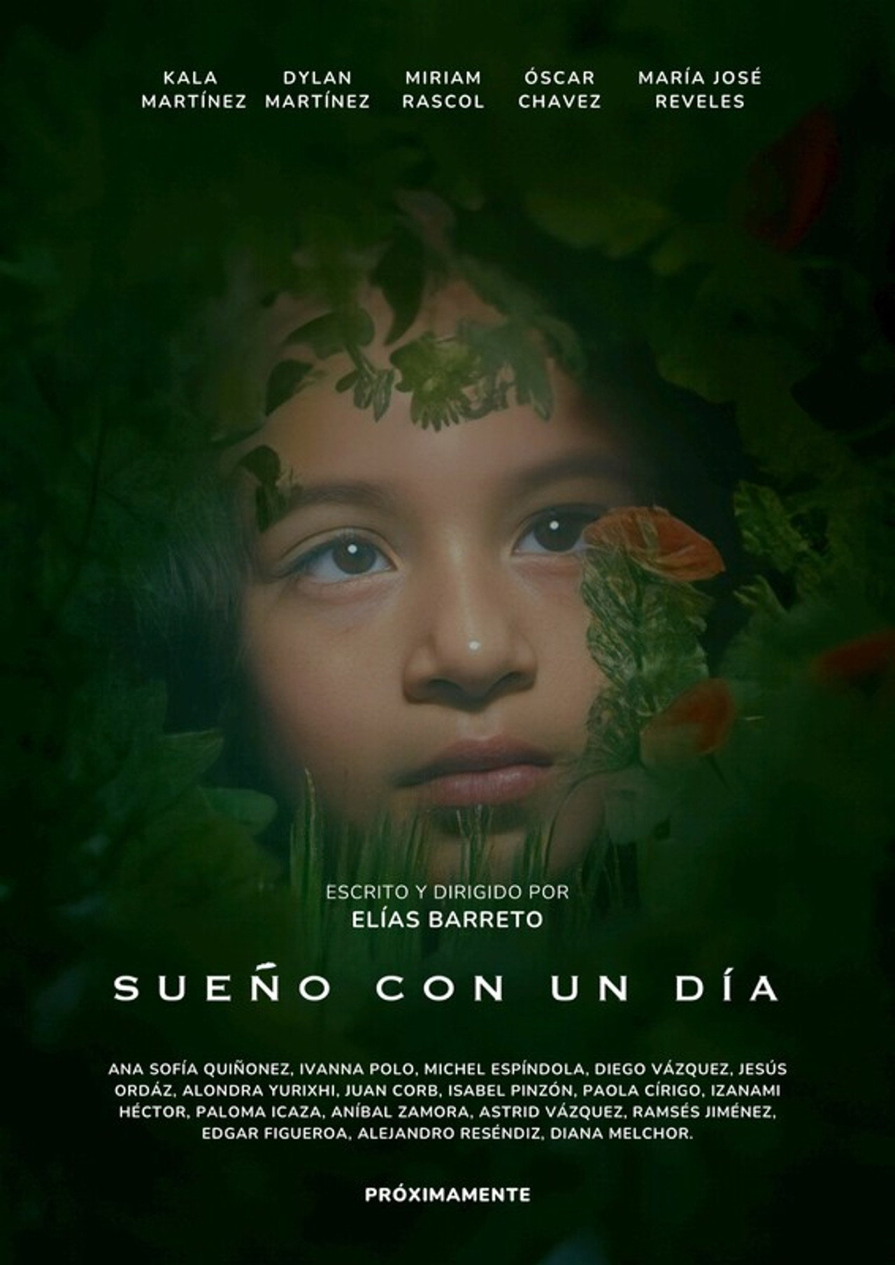 Sueño con un día filmaffisch