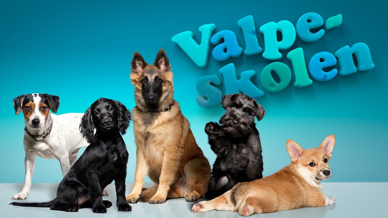 The Puppy School