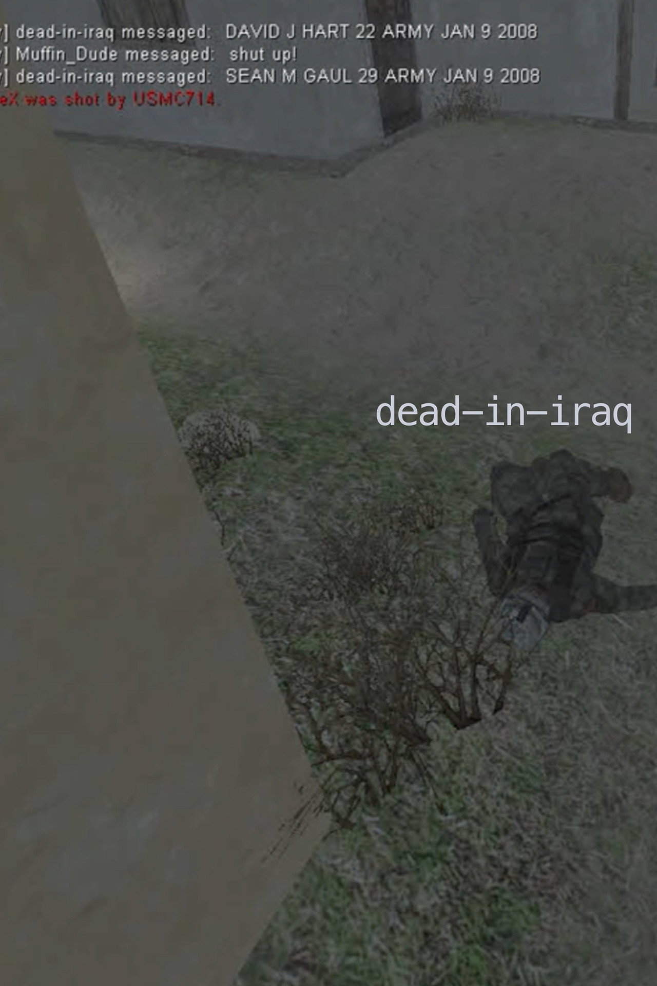 dead in iraq