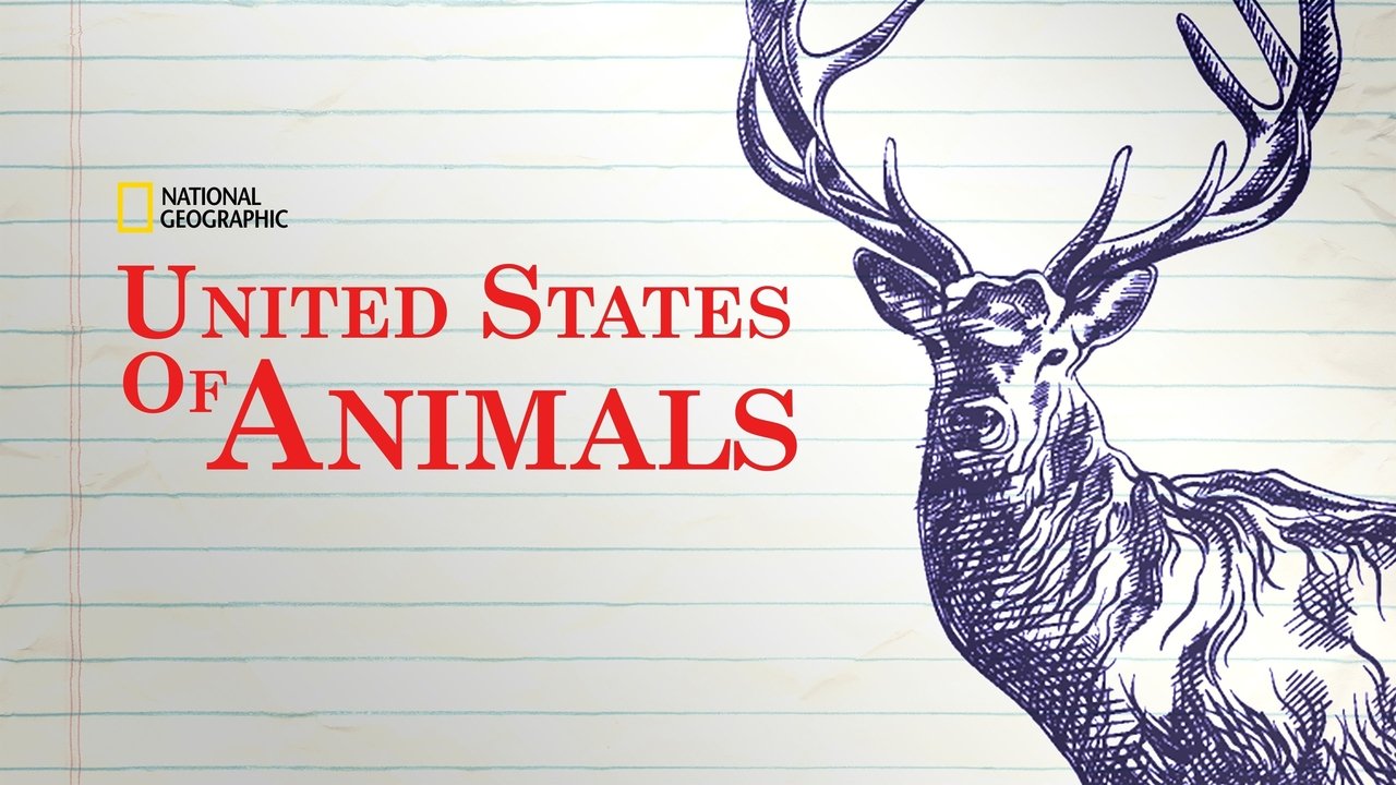 United States of Animals background