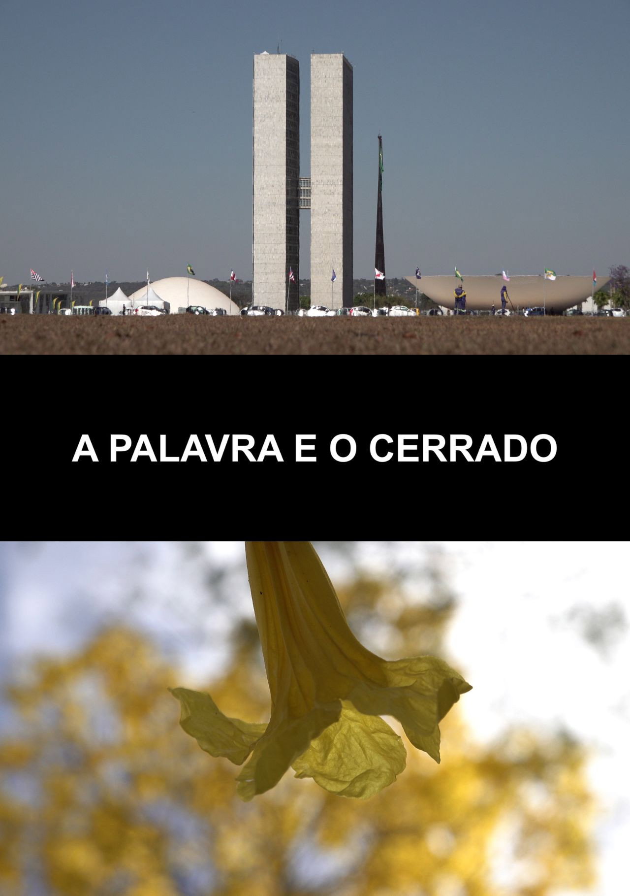 A palavra e o cerrado Backdrop