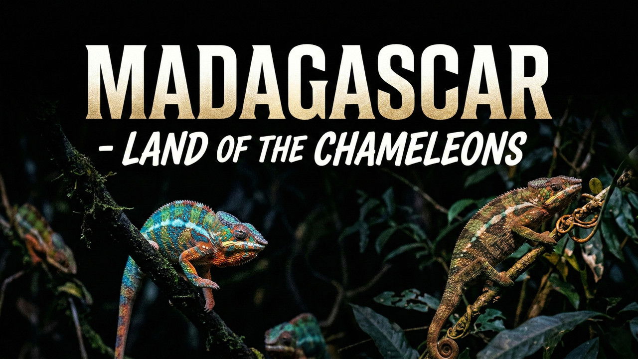 Madagascar: Land of the Chameleons