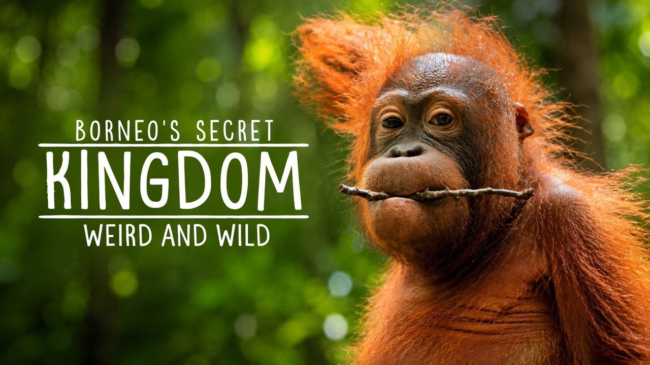 Borneo's Secret Kingdom still 1