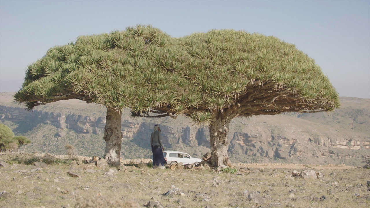 Oases in de Oriënt — Épisode 3