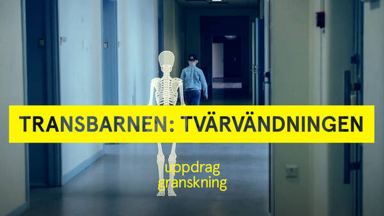 Uppdrag granskning - Season 22 Episode 8 : Transbarnen: tvärvädningen