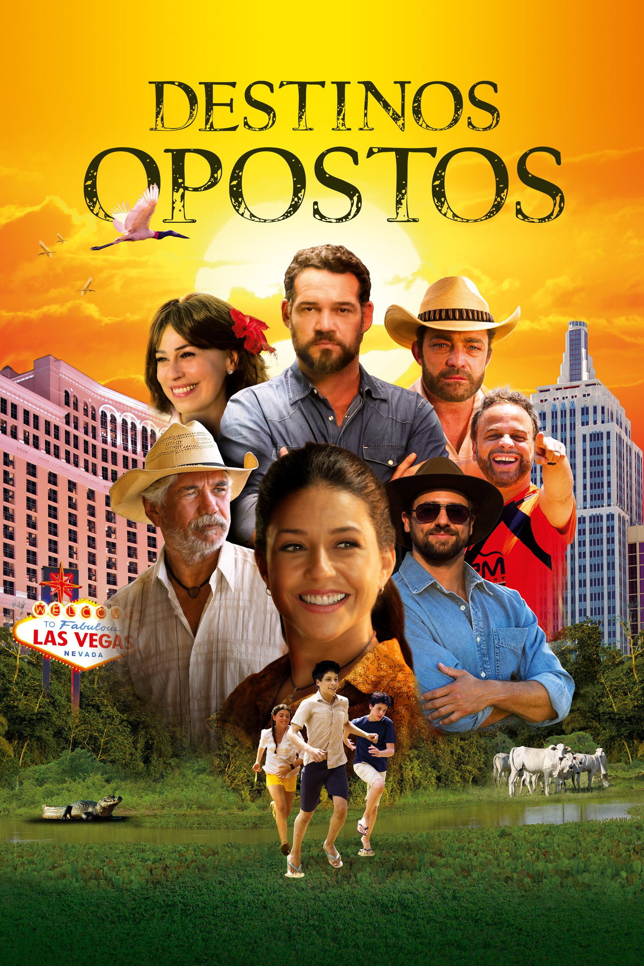 Destinos Opostos filmaffisch