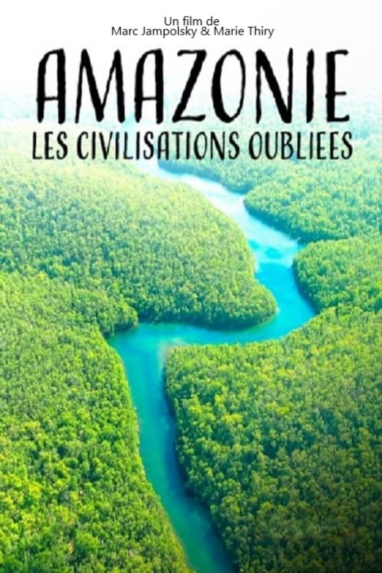 Amazonie, les civilisations oubliées de la forêt filmaffisch