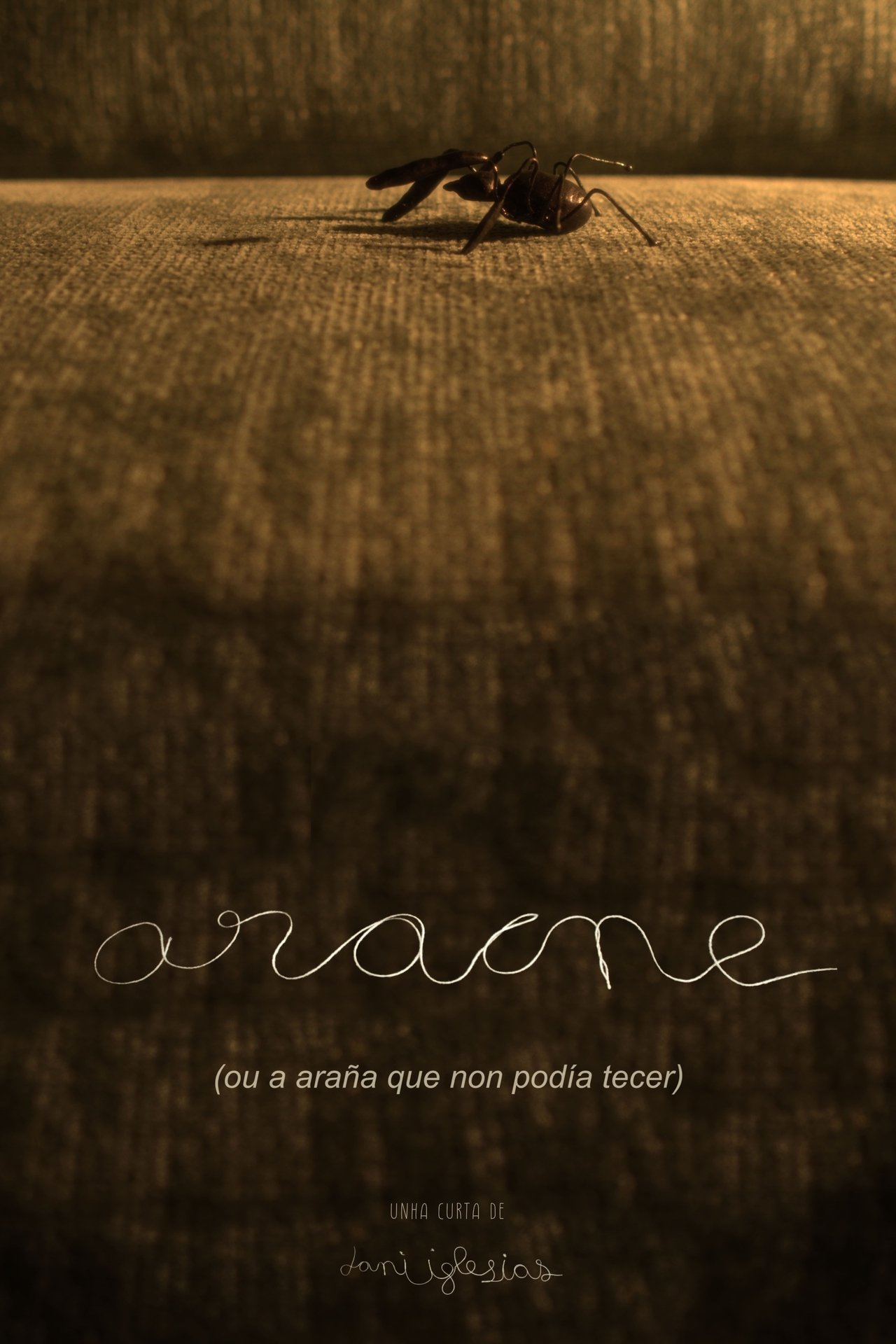 Aracne (ou a araña que non podía tecer) poster