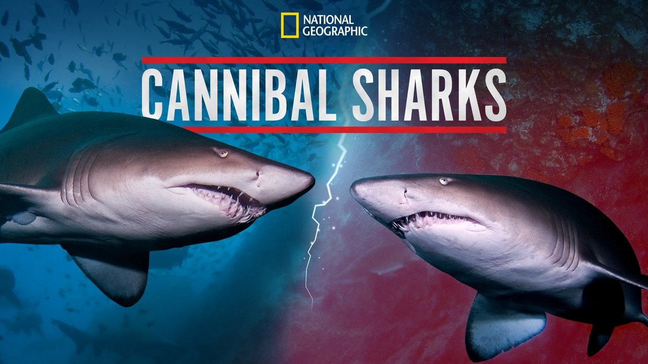 Cannibal Sharks