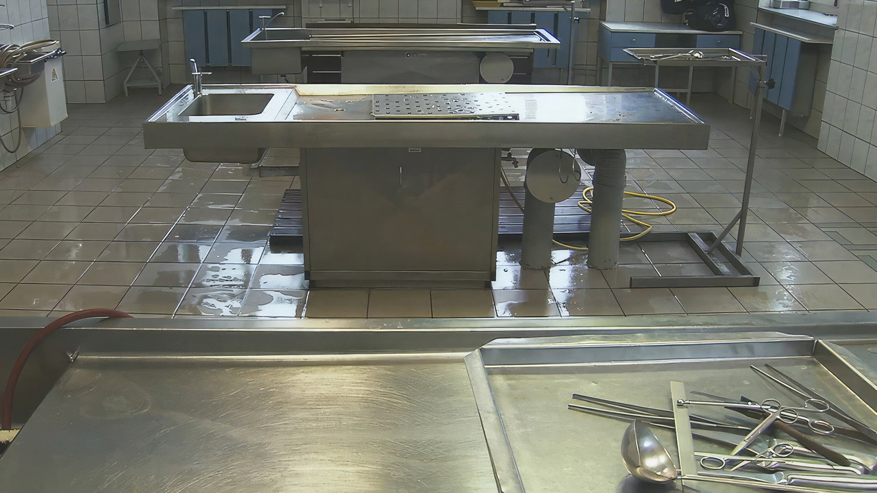 Criminal Doctors, Auschwitz