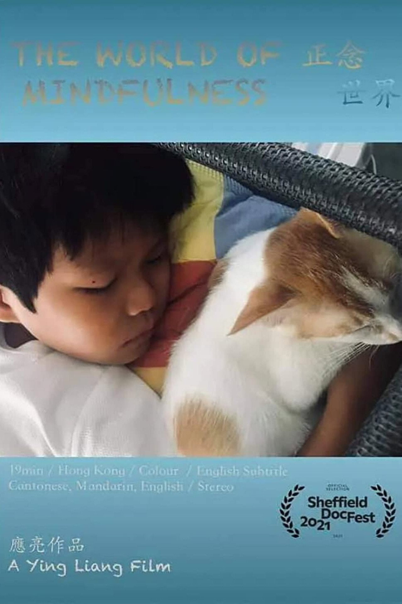 正念世界 filmaffisch