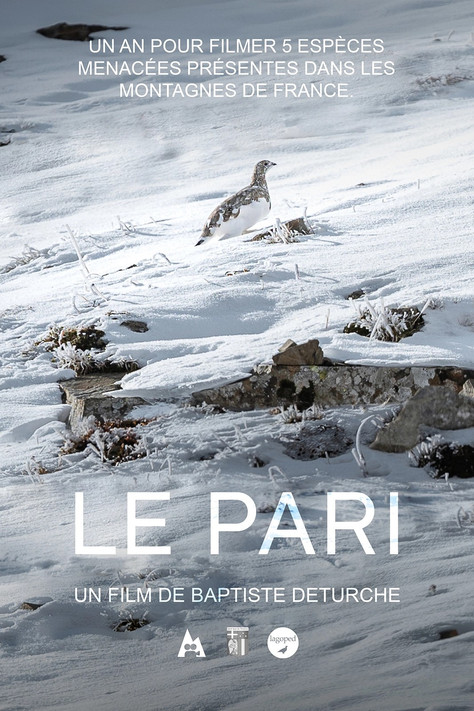 Le pari poster