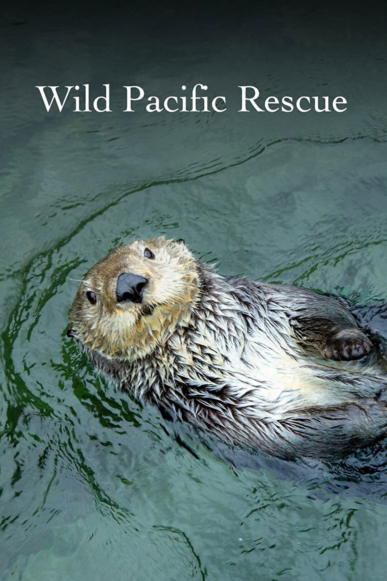 Wild Pacific Rescue affisch