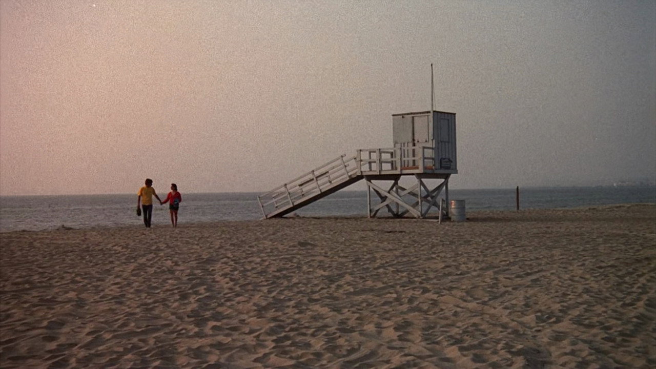 Foto 10 de Lifeguard