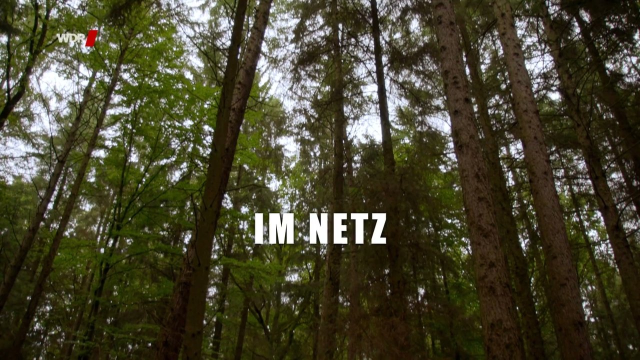 Heiter bis tödlich - Morden im Norden - Season 4 Episode 7 : Episode 7