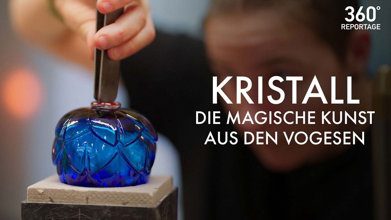 360° Géo — Percheron, le retour du cheval de trait