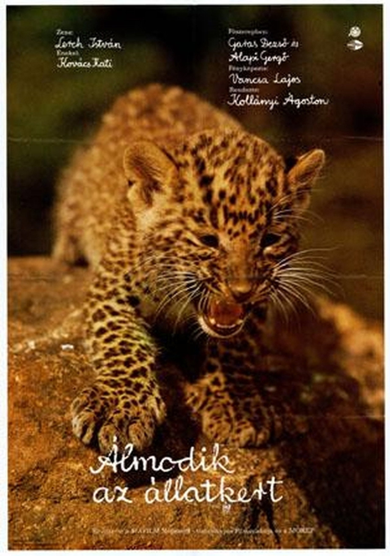 Dreaming Zoo