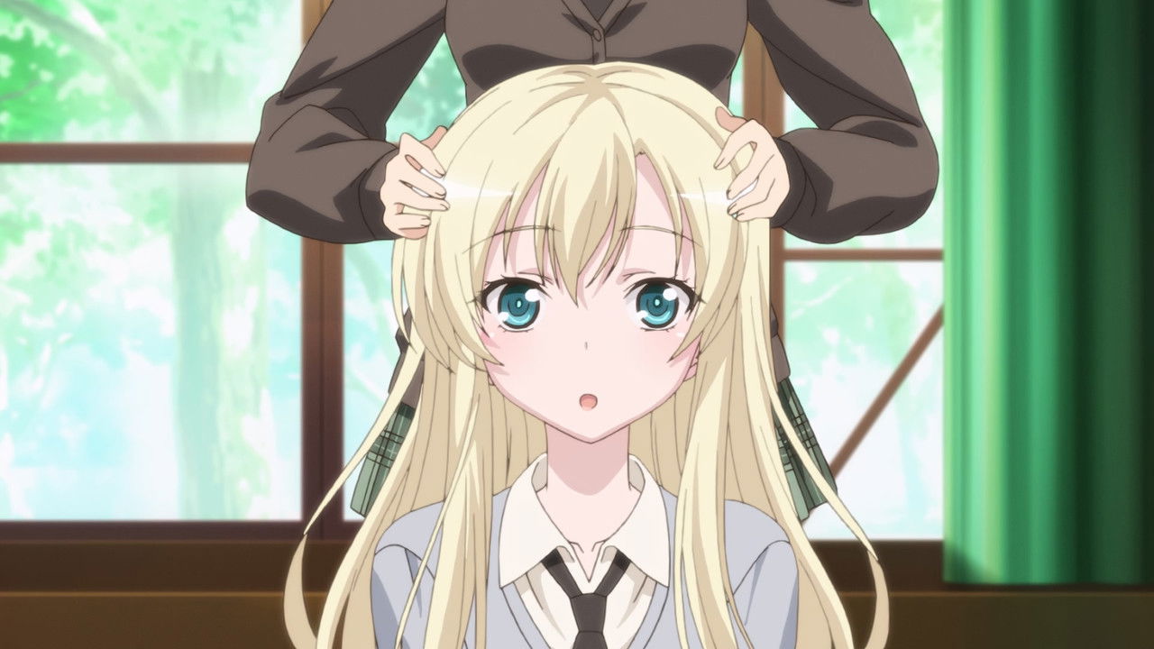 Haganai: I Don't Have Many Friends — Je Crois que Quelque Chose ne vas Pas avec Ma Jeunesse