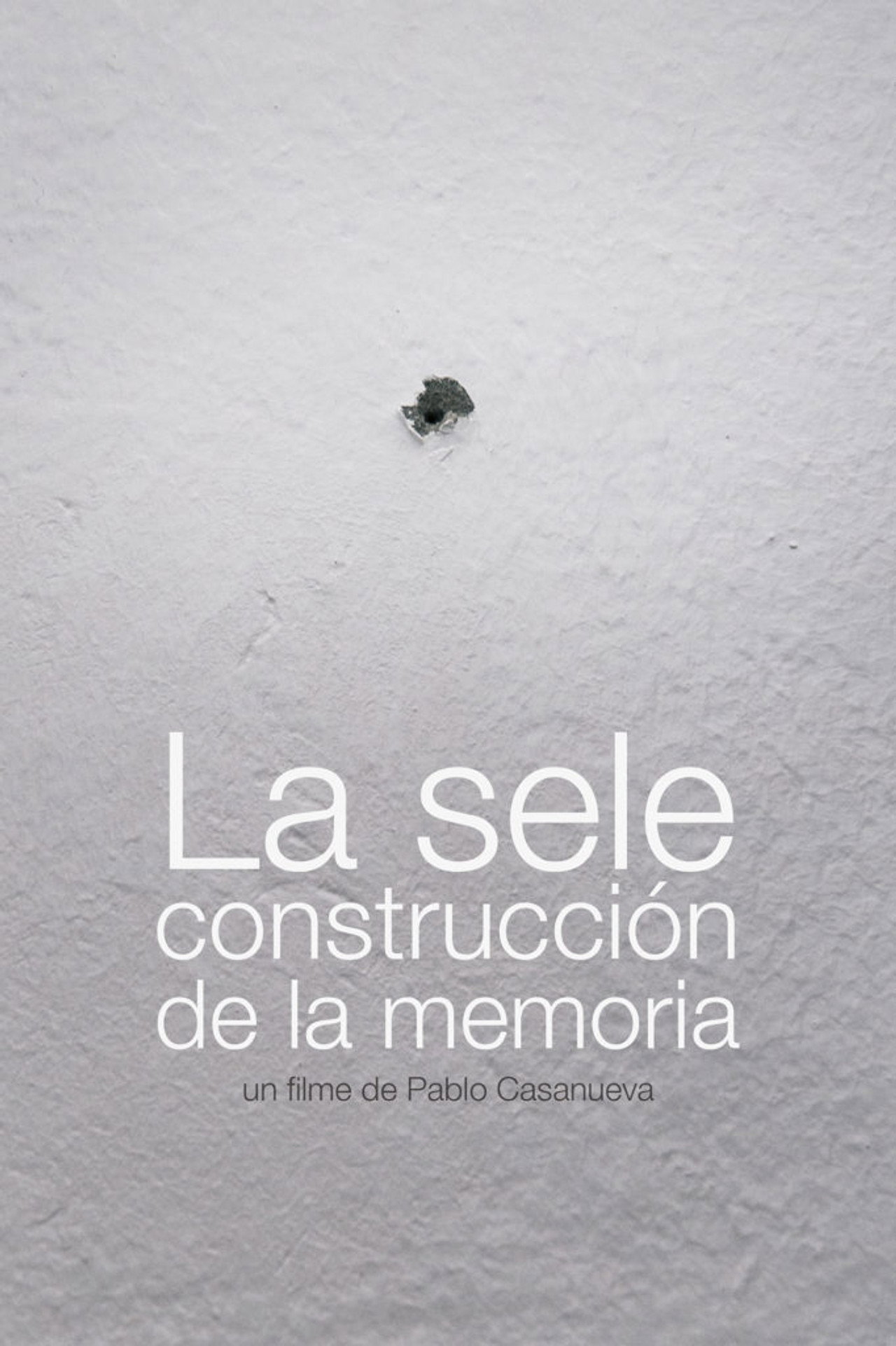 La sele construcción de la memoria