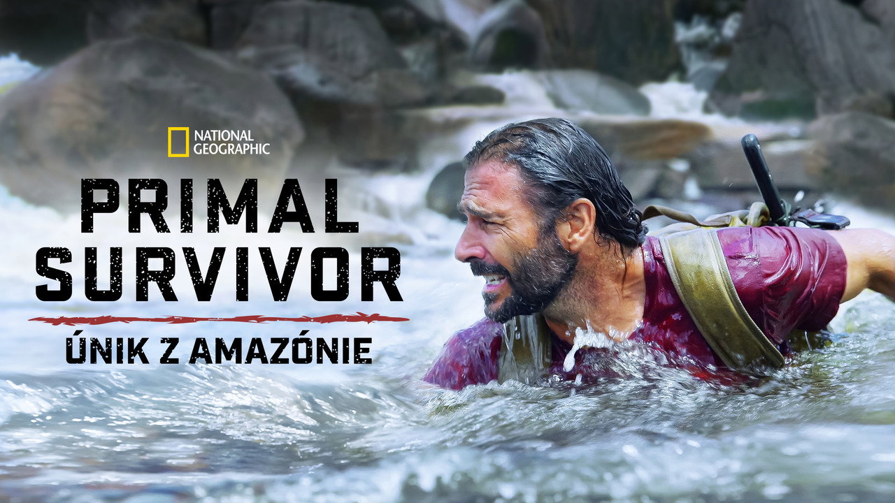 scenes 19