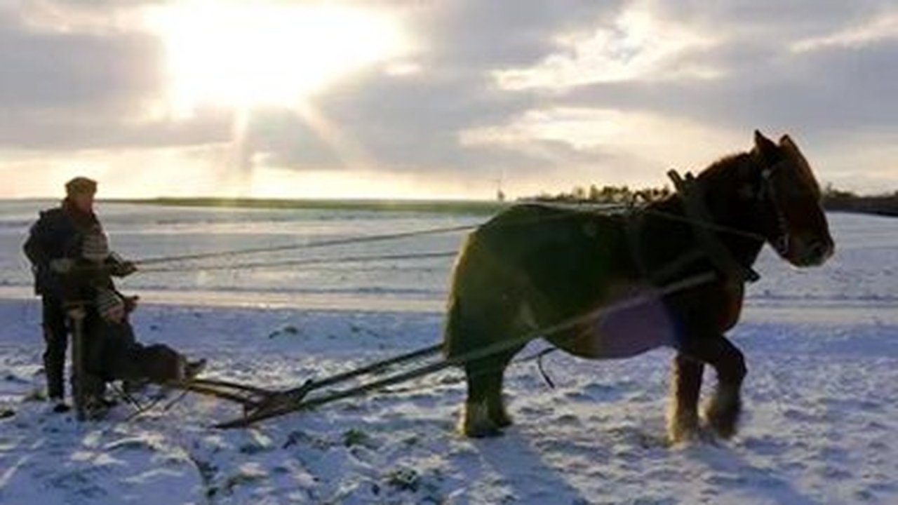 Frank & Kastaniegaarden - Season 0 Episode 12 : Episode 12