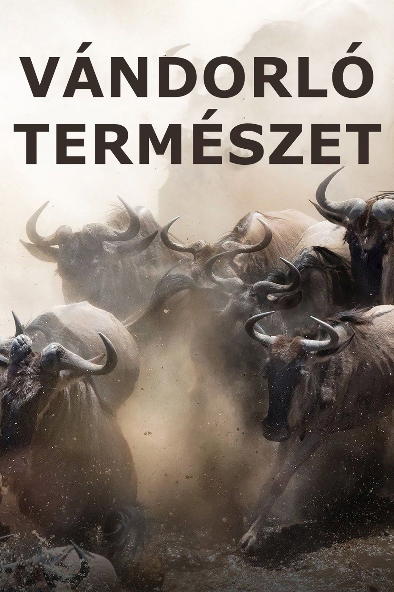 Vándorló természet – plakát 5