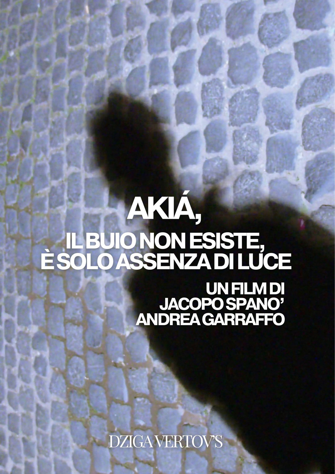 σκιά: Il buio non esiste, è solo assenza di luce filmaffisch