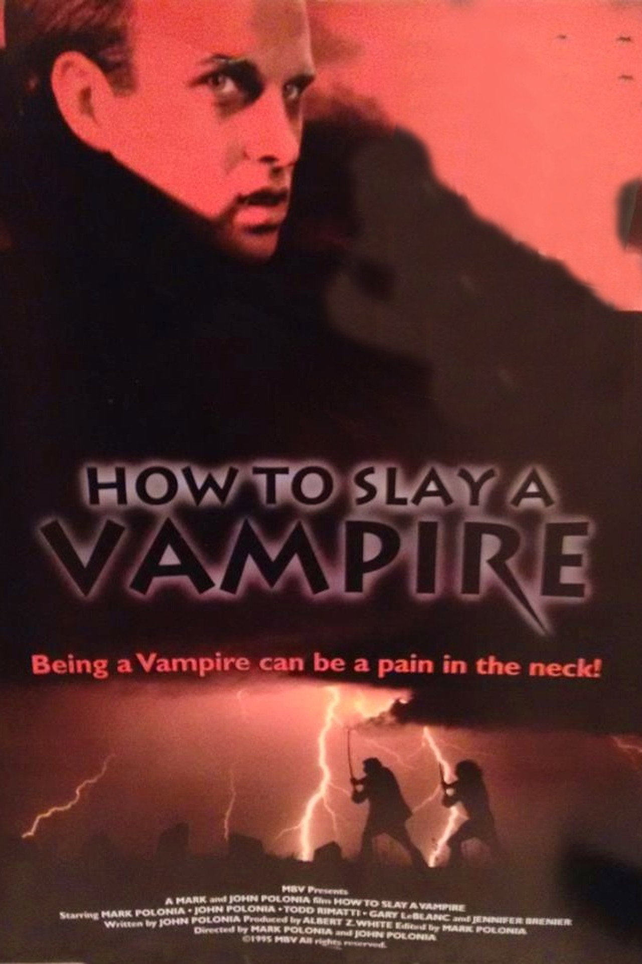 How to Slay a Vampire filmaffisch
