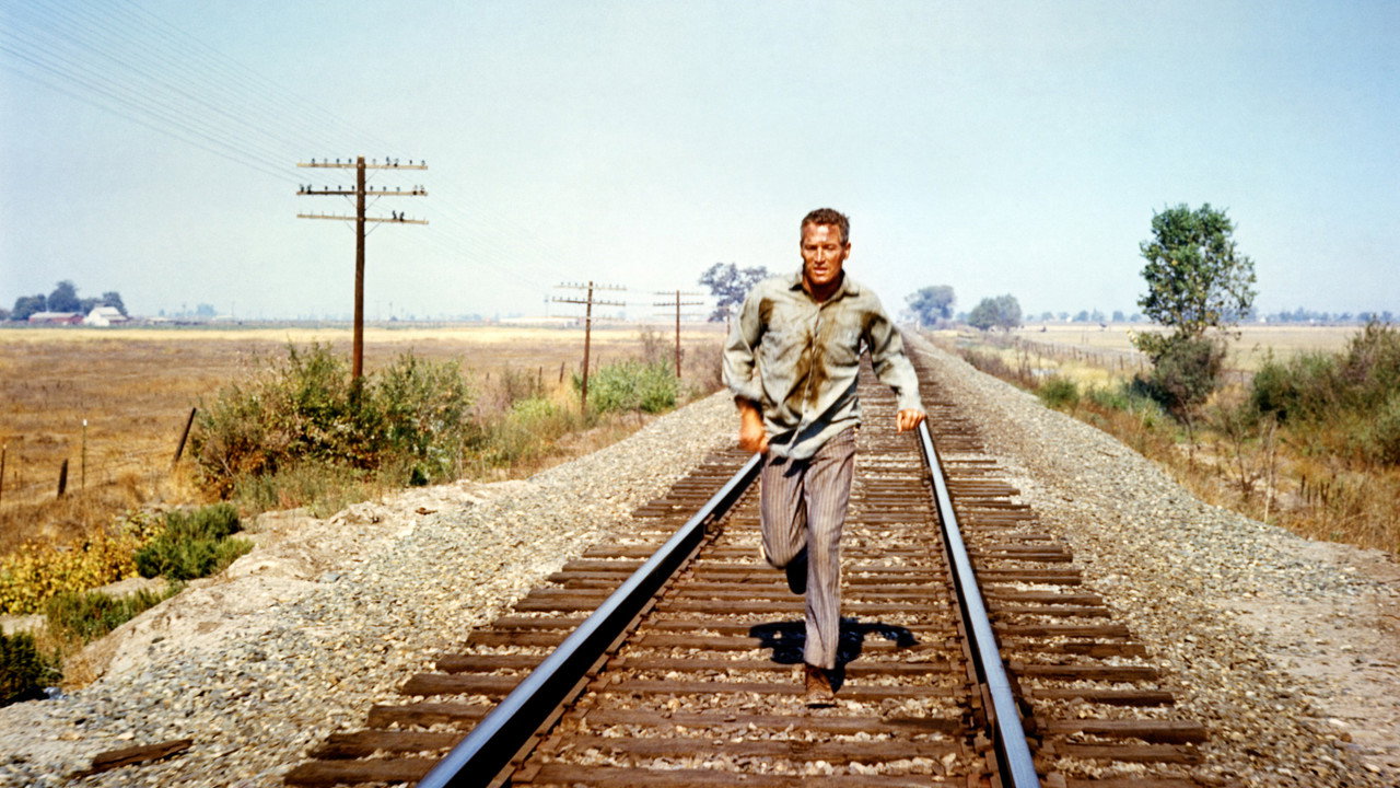 Cool Hand Luke background 74