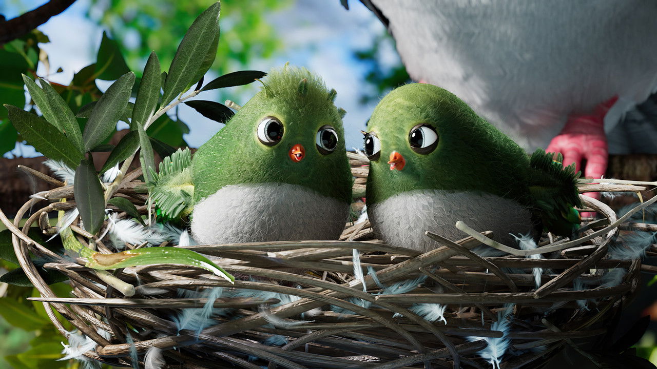 Bird's Eye View — Épisode 4