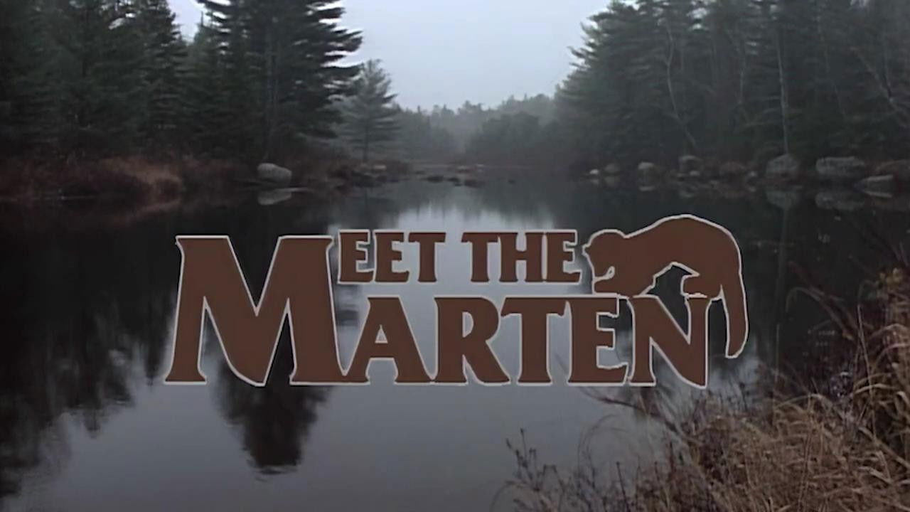 Marty Stouffer's Wild America — Épisode 5